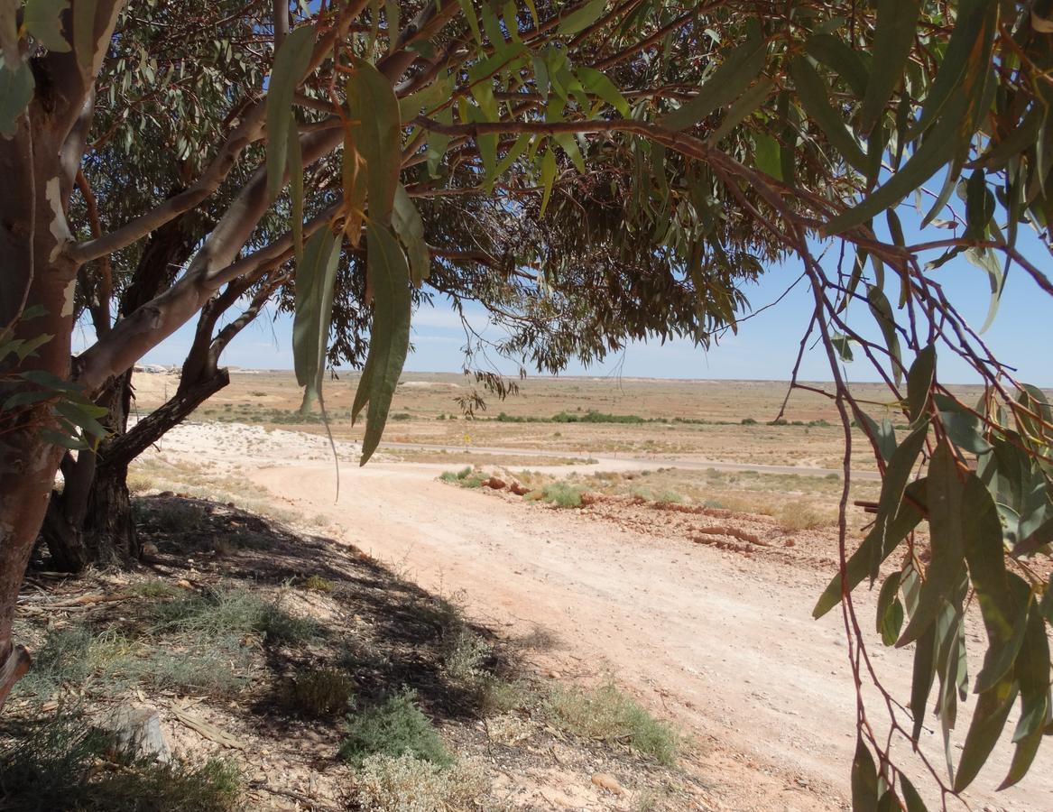 Dinky Di'S Dugout Villa Coober Pedy Buitenkant foto